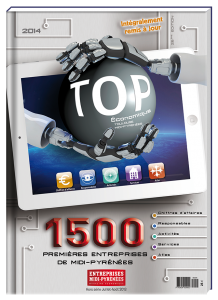 Création de la couverture du TOP Économique 2014 Midi Pyrénées - Claudine Defeuillet, graphiste designer, pour COCO and Co