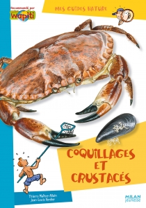 COQUILLAGES