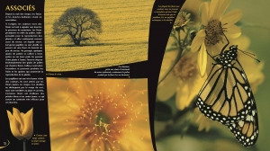 Les couleurs dans la nature
