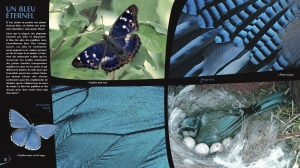 Les couleurs dans la nature