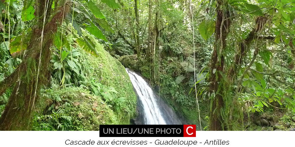 Guadeloupe cascade aux écrevisses