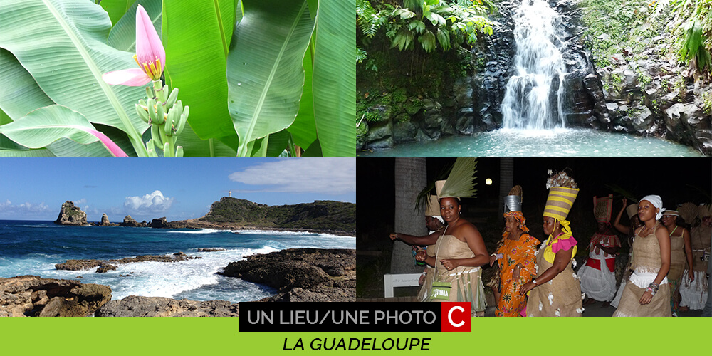 Guadeloupe mosaïque