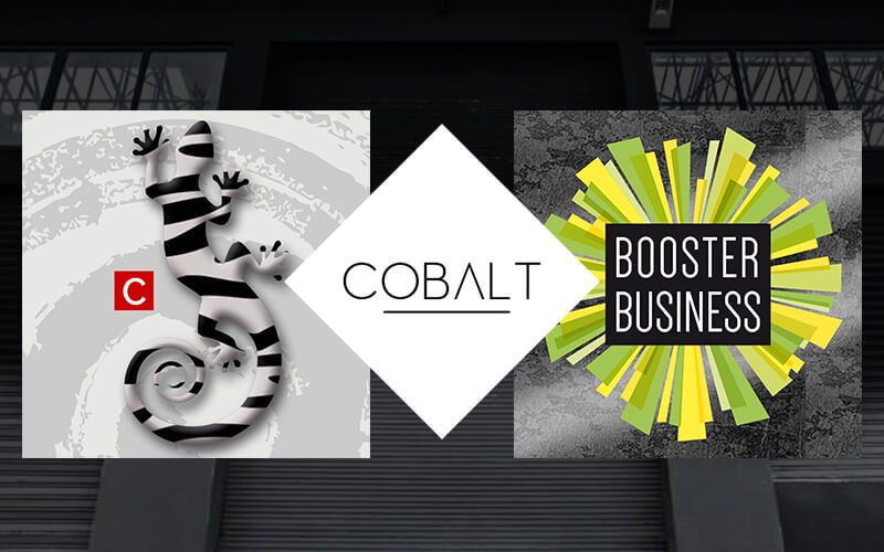 espace Cobalt - Booster business - COCO and Co